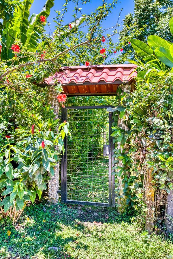 Villas Pina - Adults Only Puerto Viejo de Talamanca Dış mekan fotoğraf